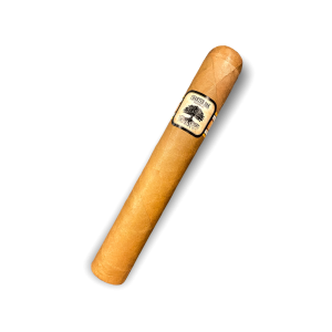 FOUNDATION CHARTER OAK